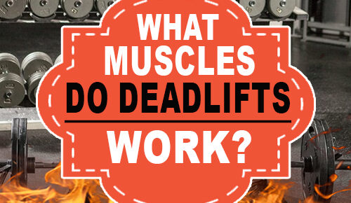 What Muscles Do Deadlifts Work?