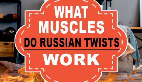 What Muscles Do Russian Twists Work